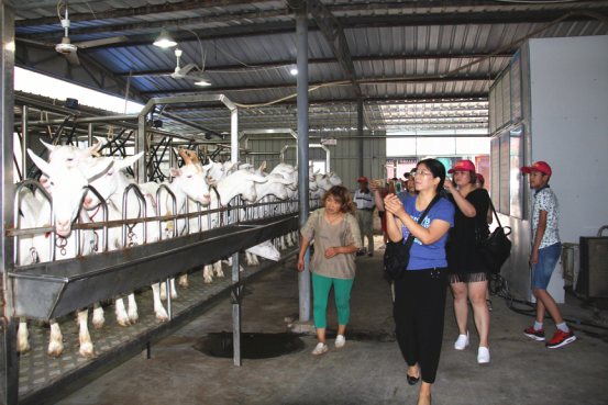 jxf吉祥坊(中国)官方网站