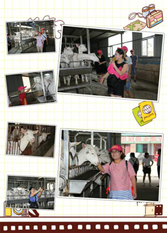 jxf吉祥坊(中国)官方网站