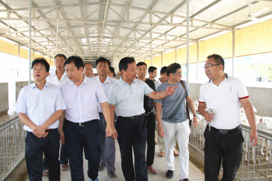 jxf吉祥坊(中国)官方网站