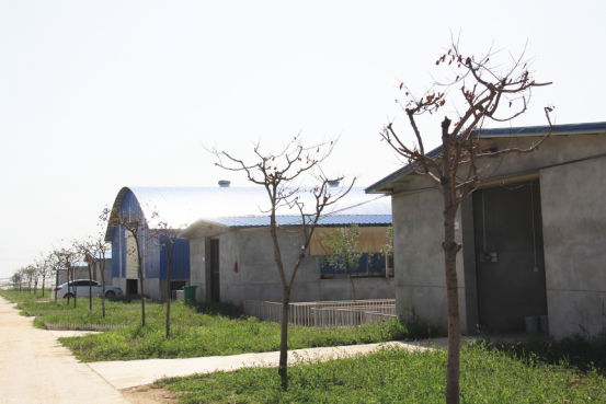 jxf吉祥坊(中国)官方网站