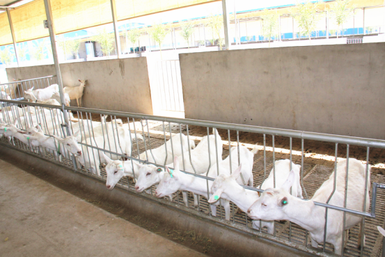 jxf吉祥坊(中国)官方网站