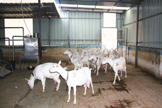 jxf吉祥坊(中国)官方网站