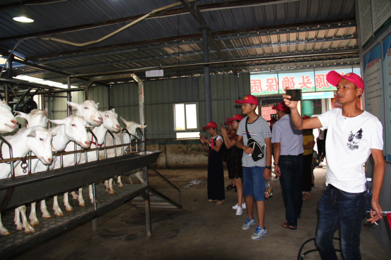 jxf吉祥坊(中国)官方网站