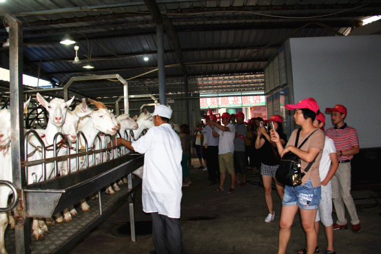 jxf吉祥坊(中国)官方网站