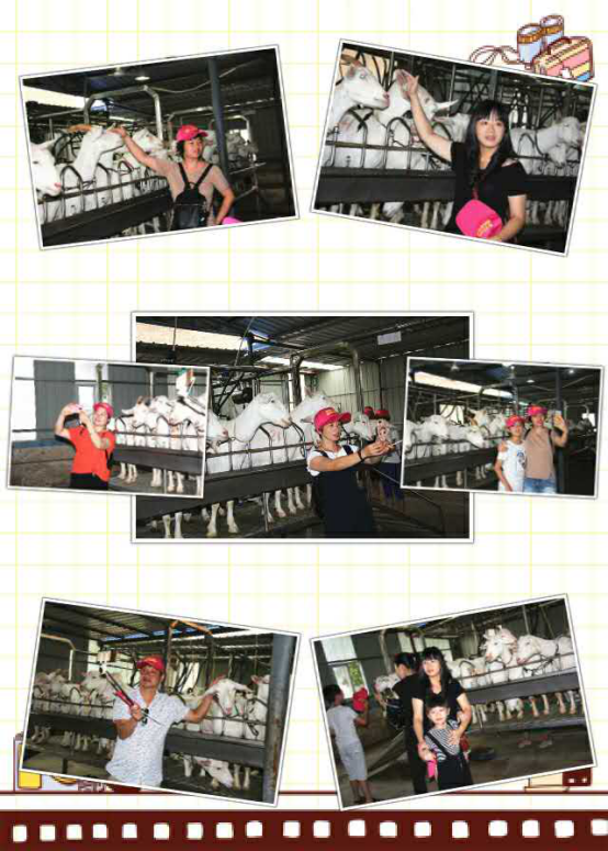 jxf吉祥坊(中国)官方网站