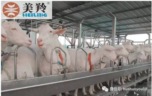 jxf吉祥坊(中国)官方网站