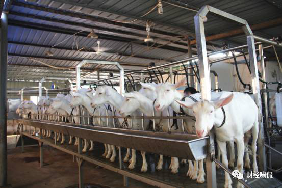 jxf吉祥坊(中国)官方网站