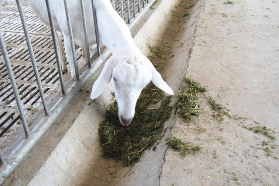 jxf吉祥坊(中国)官方网站