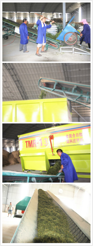 jxf吉祥坊(中国)官方网站