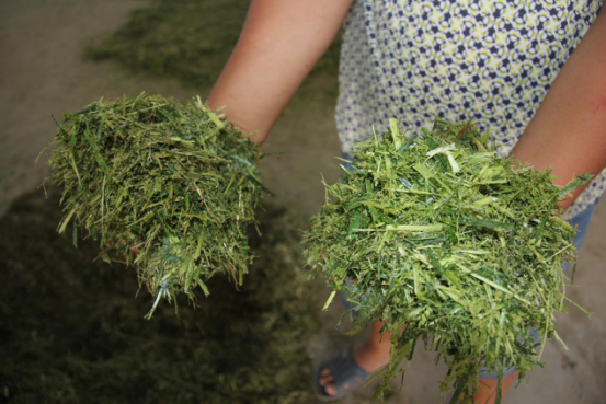 jxf吉祥坊(中国)官方网站