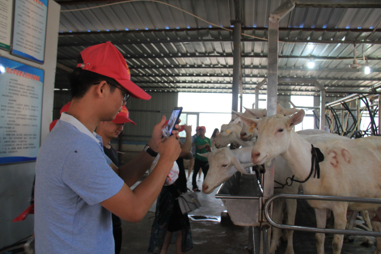 jxf吉祥坊(中国)官方网站