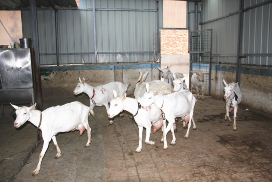 jxf吉祥坊(中国)官方网站