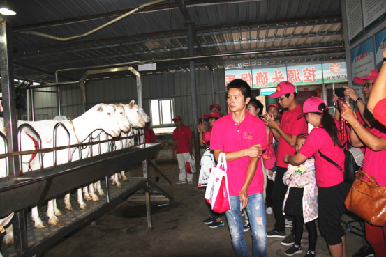 jxf吉祥坊(中国)官方网站