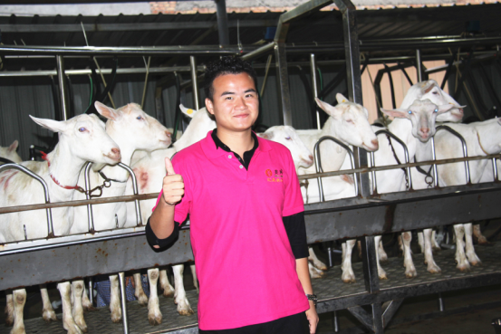 jxf吉祥坊(中国)官方网站