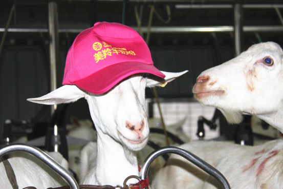 jxf吉祥坊(中国)官方网站