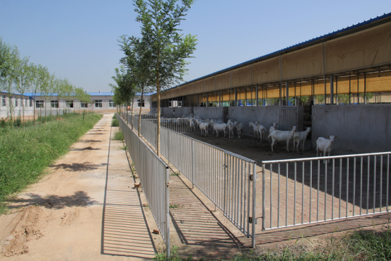 jxf吉祥坊(中国)官方网站