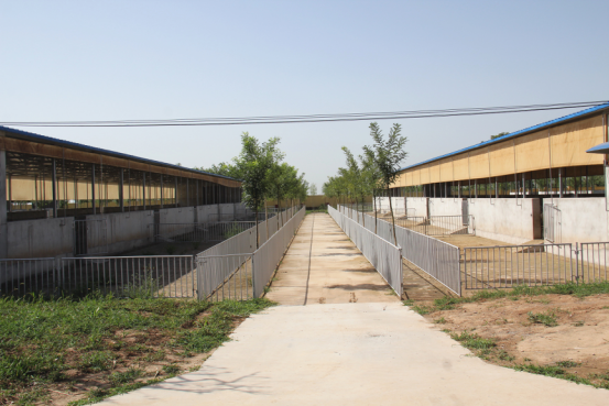 jxf吉祥坊(中国)官方网站