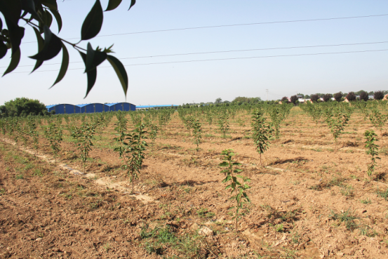 jxf吉祥坊(中国)官方网站