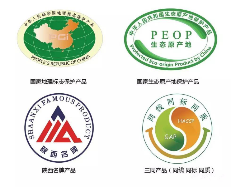 jxf吉祥坊(中国)官方网站