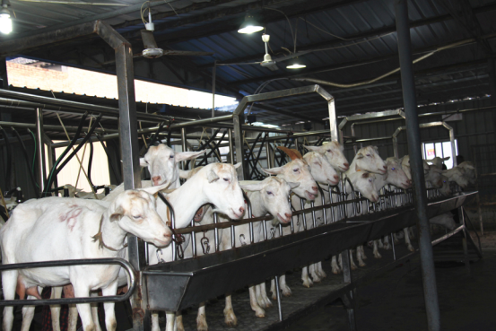 jxf吉祥坊(中国)官方网站