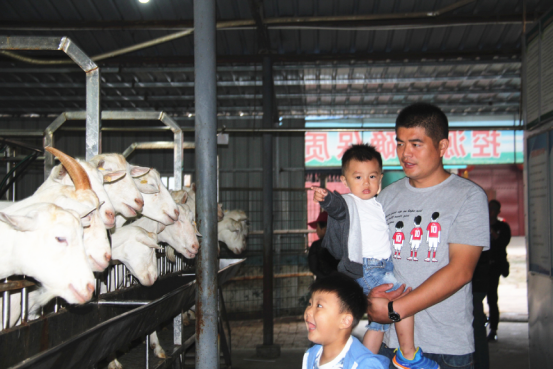 jxf吉祥坊(中国)官方网站