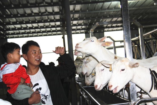 jxf吉祥坊(中国)官方网站