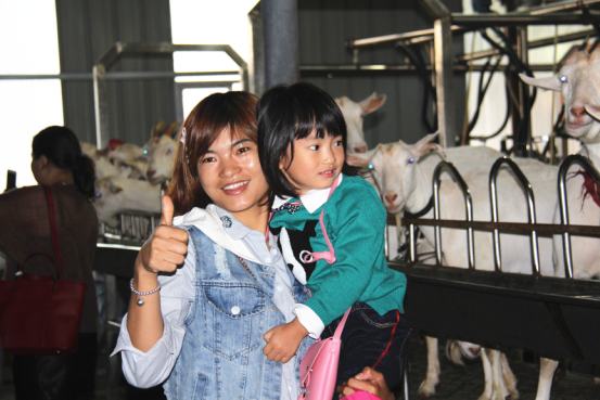 jxf吉祥坊(中国)官方网站