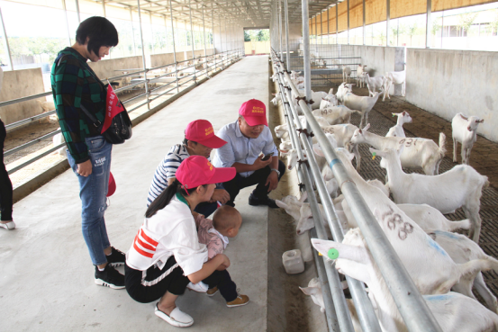 jxf吉祥坊(中国)官方网站