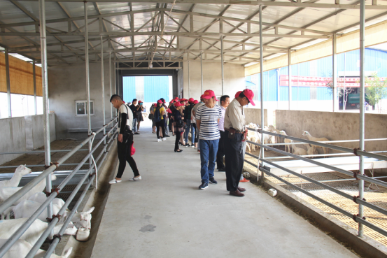 jxf吉祥坊(中国)官方网站