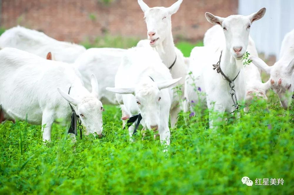 jxf吉祥坊(中国)官方网站