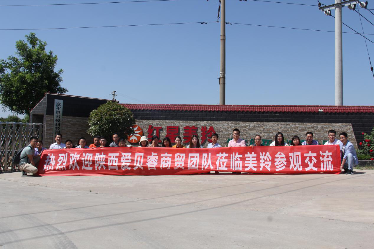 jxf吉祥坊(中国)官方网站