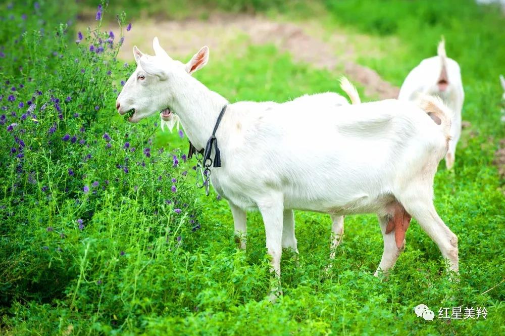 jxf吉祥坊(中国)官方网站