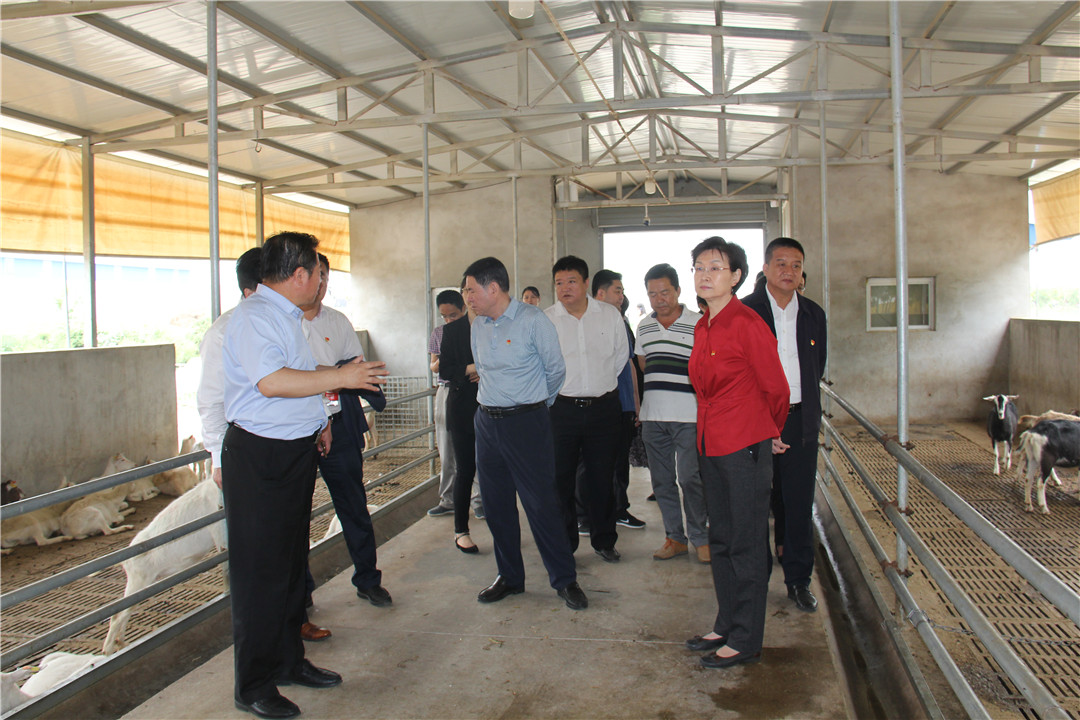 jxf吉祥坊(中国)官方网站