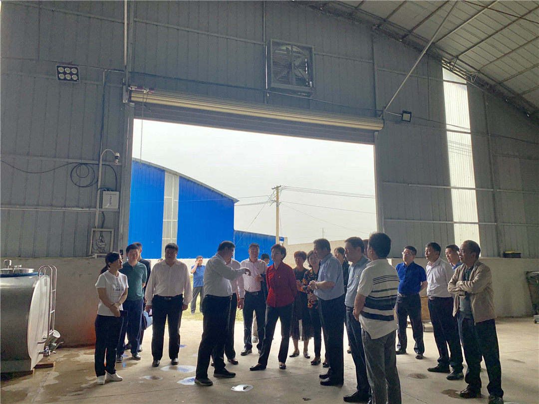 jxf吉祥坊(中国)官方网站