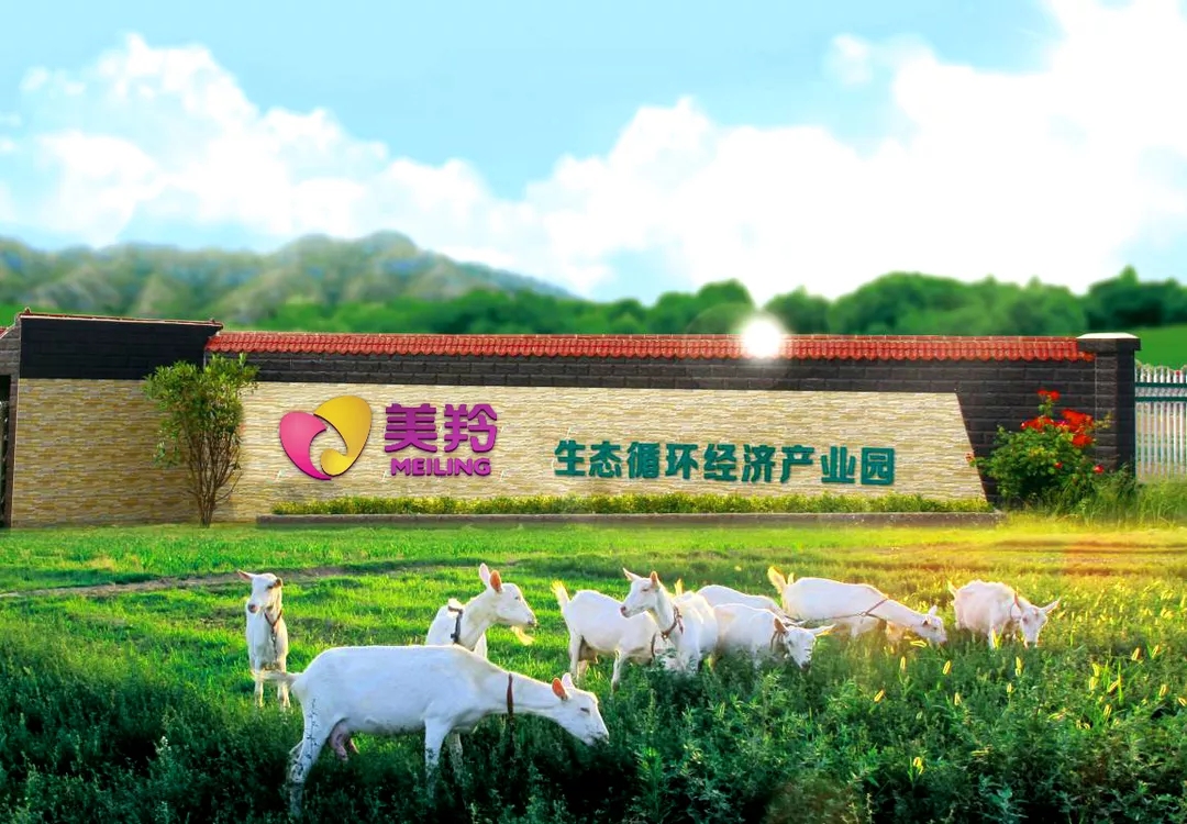 jxf吉祥坊(中国)官方网站