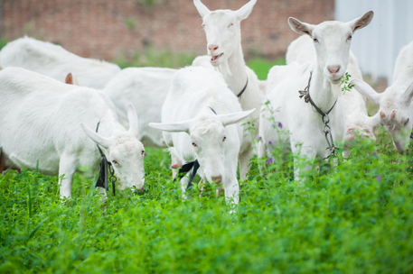 jxf吉祥坊(中国)官方网站